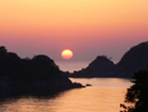 �l�c�}�����勴���̗[��