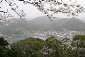 ��R��菼���p������