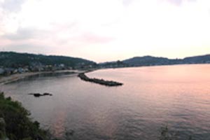 ���l�p������